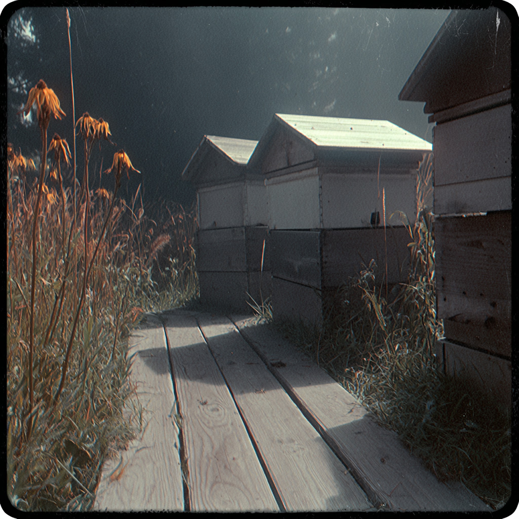 My Ancestors Deserved More