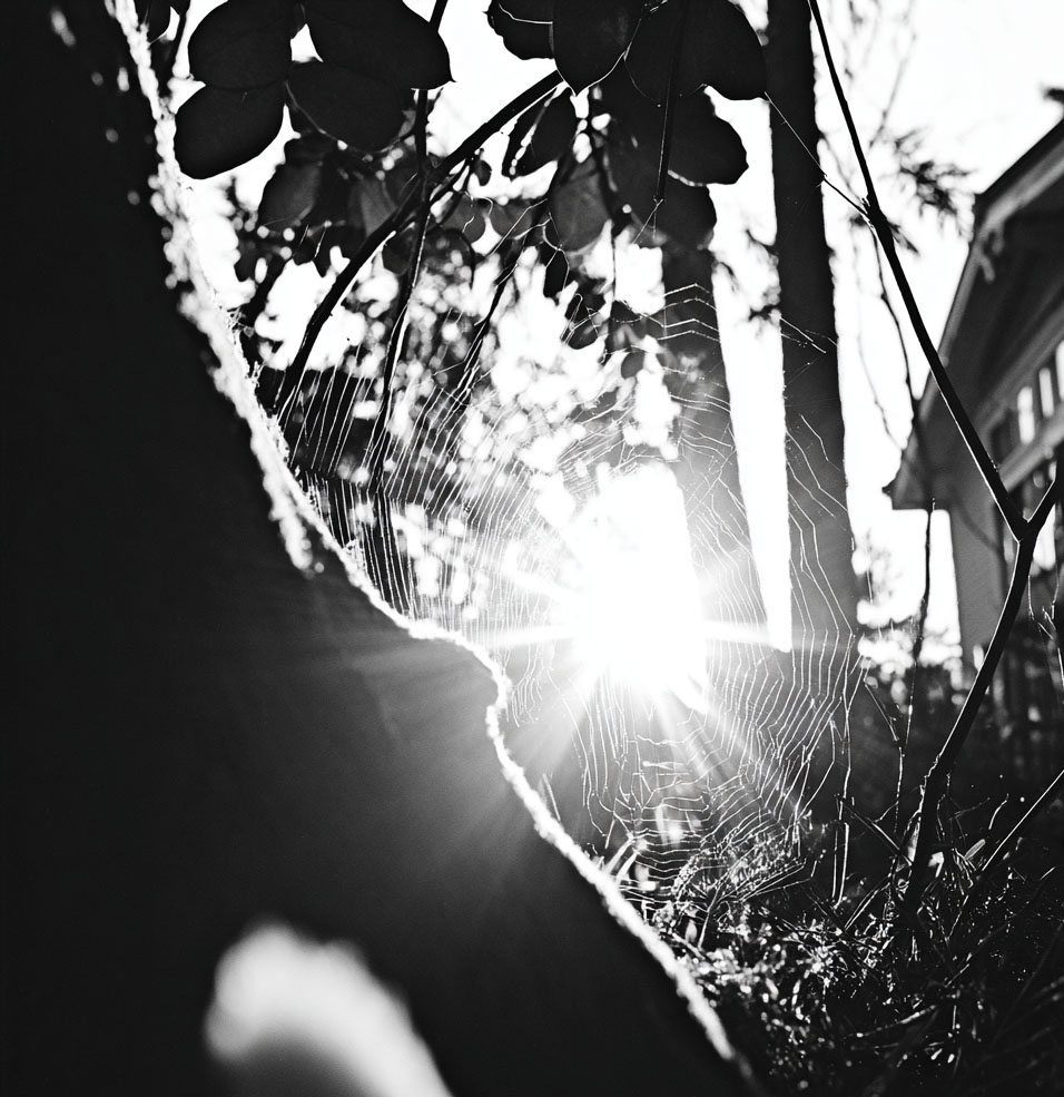 highlighting the unseen